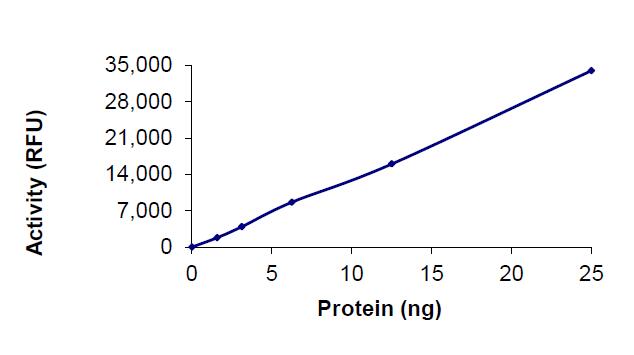 The specifc activity of Cas13a (LbCpf1) was determined to be 28.6 nmol/min/mg as per activity assay protocol.